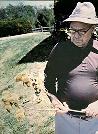 
Edgar Huffman studies a branch from one of the American chestnut trees he is trying to save.
